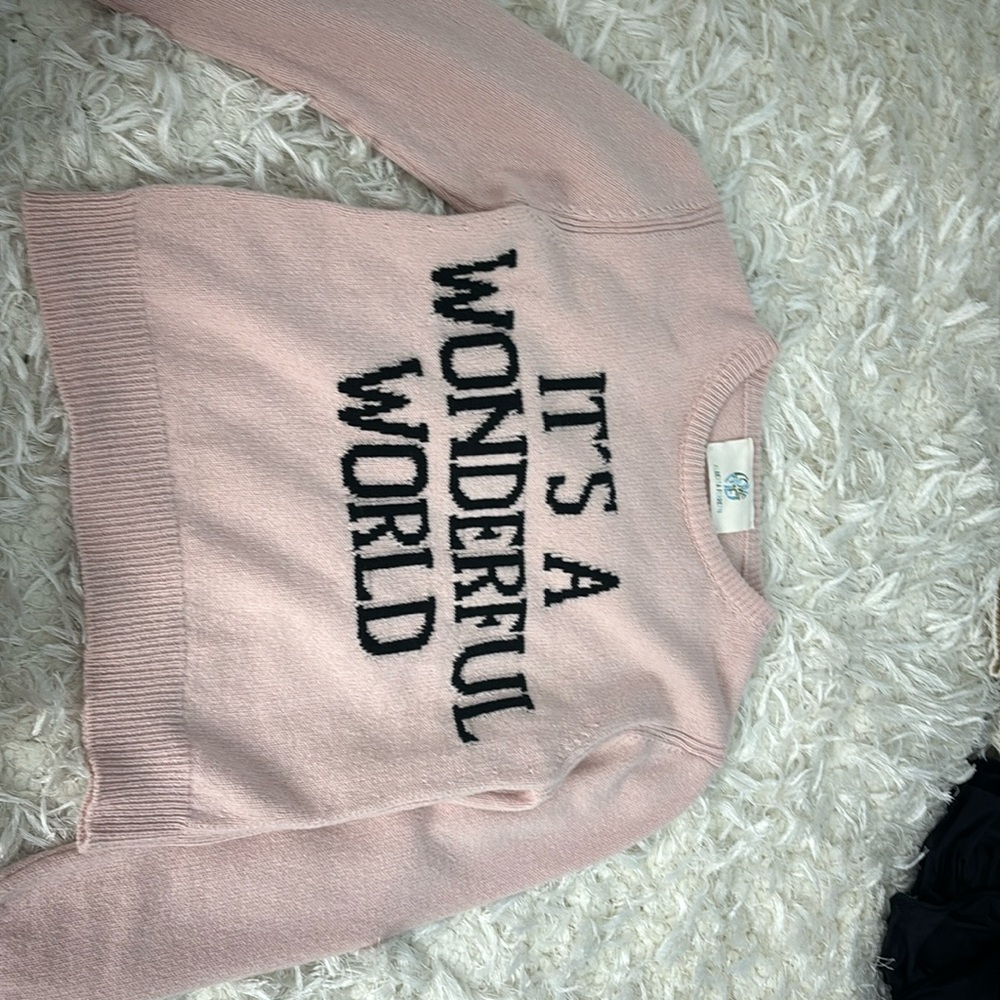 A pink sweater size small from Alberta ferretti